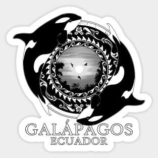 Orca Killer Whales Ecuador Galápagos Sticker